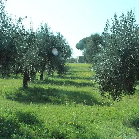 Bed and Breakfast Piccolo Ulivo Salento