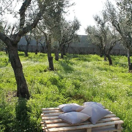 Frühstückspension Piccolo Ulivo Salento