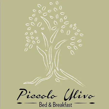 Piccolo Ulivo Salento * Vernole