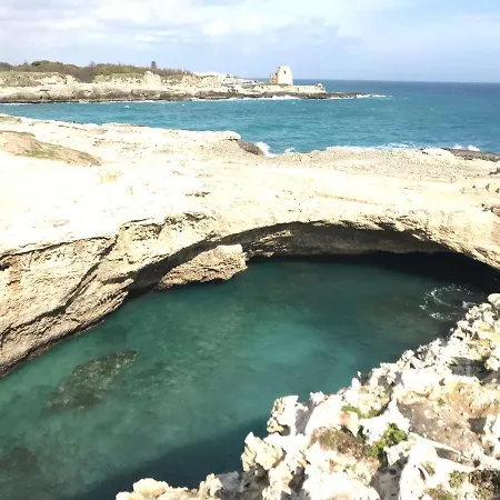 Bed and Breakfast Piccolo Ulivo Salento