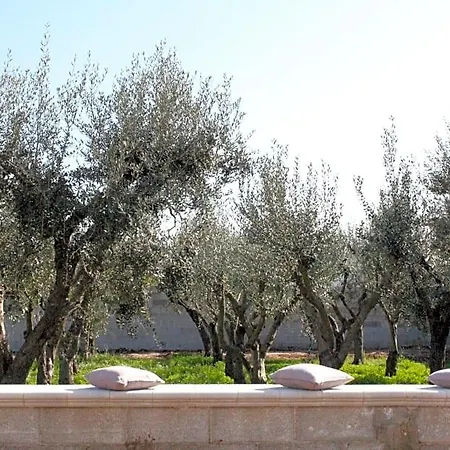 Bed and Breakfast Piccolo Ulivo Salento Vernole