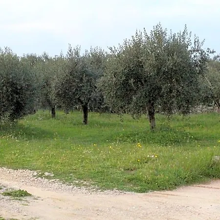 Piccolo Ulivo Salento فندق مبيت وإفطار 3*