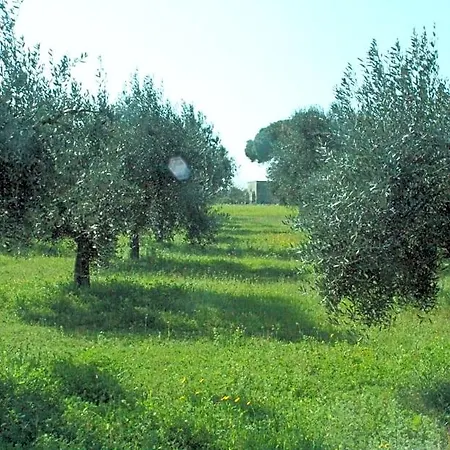 Piccolo Ulivo Salento Bed and Breakfast 3*
