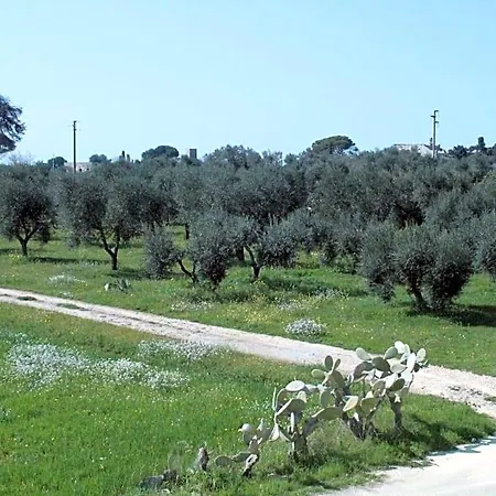 Piccolo Ulivo Salento Bed and Breakfast Vernole