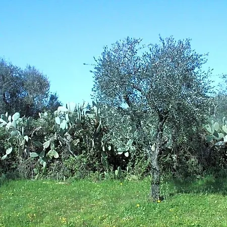 Piccolo Ulivo Salento Bed and Breakfast 3*
