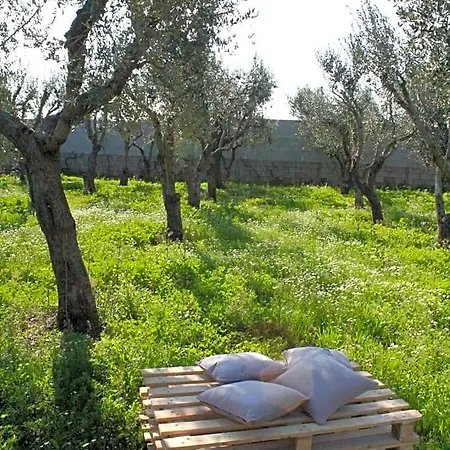 Piccolo Ulivo Salento Bed and Breakfast Vernole