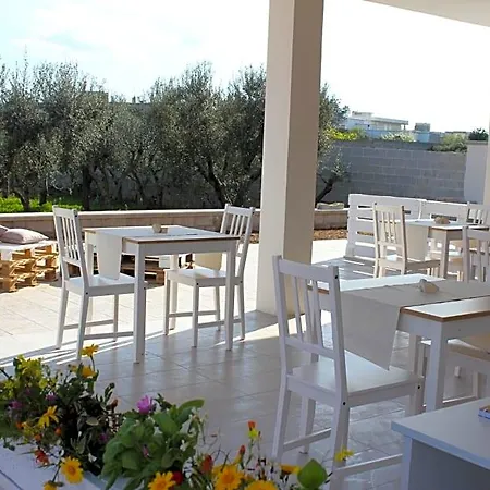 Piccolo Ulivo Salento 3*
